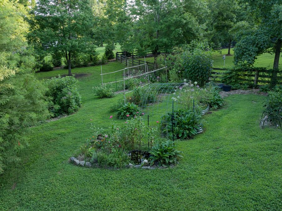 Property Image 93