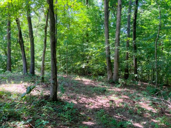 0 Deadwood Drive , Unit 35, Dover, TN 37058