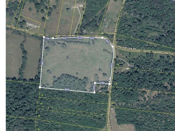 175 Little Salt Lick Road , Carthage, TN 37030