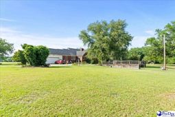 816 Olanta Hwy. photo 4