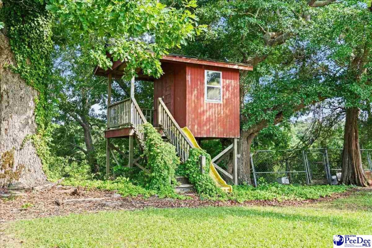 816 Olanta Hwy. Photo 39
