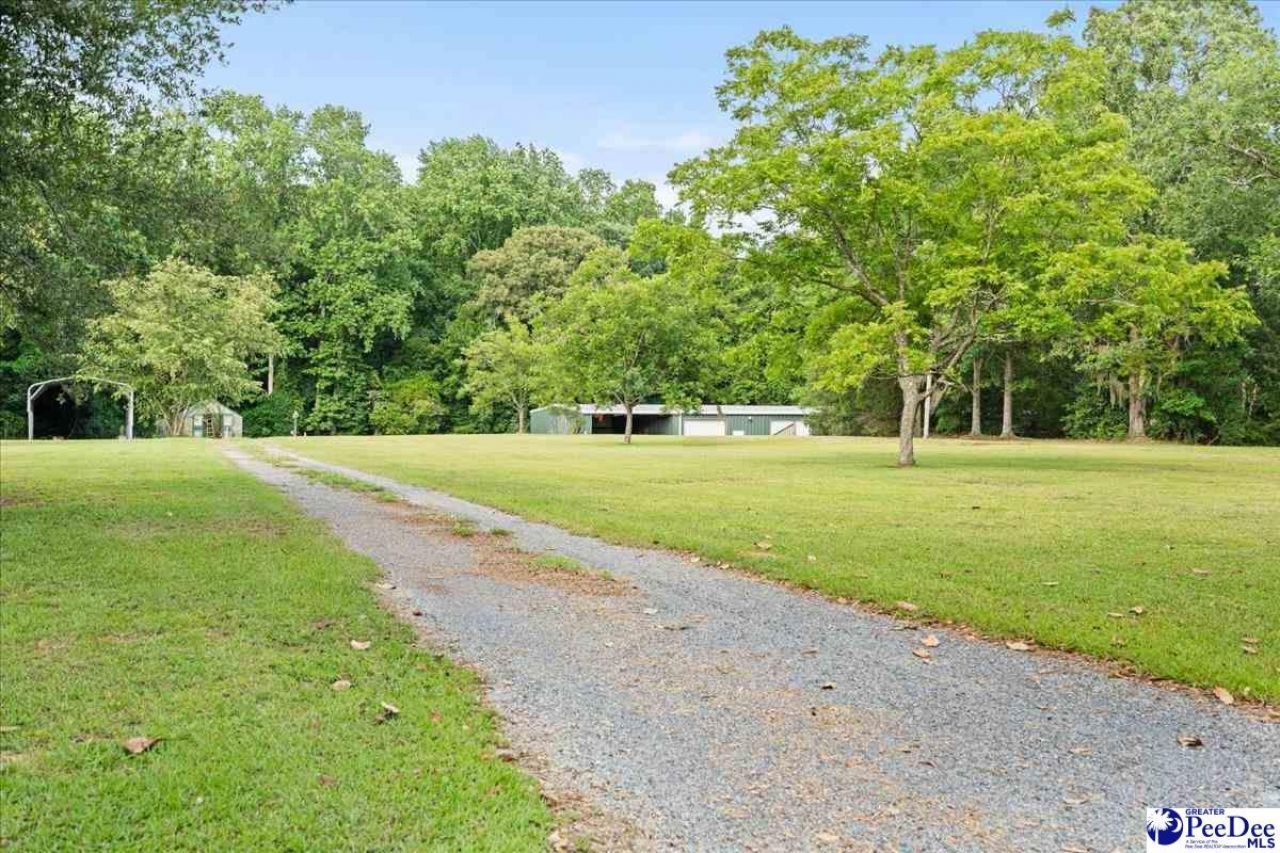 816 Olanta Hwy. Photo 41