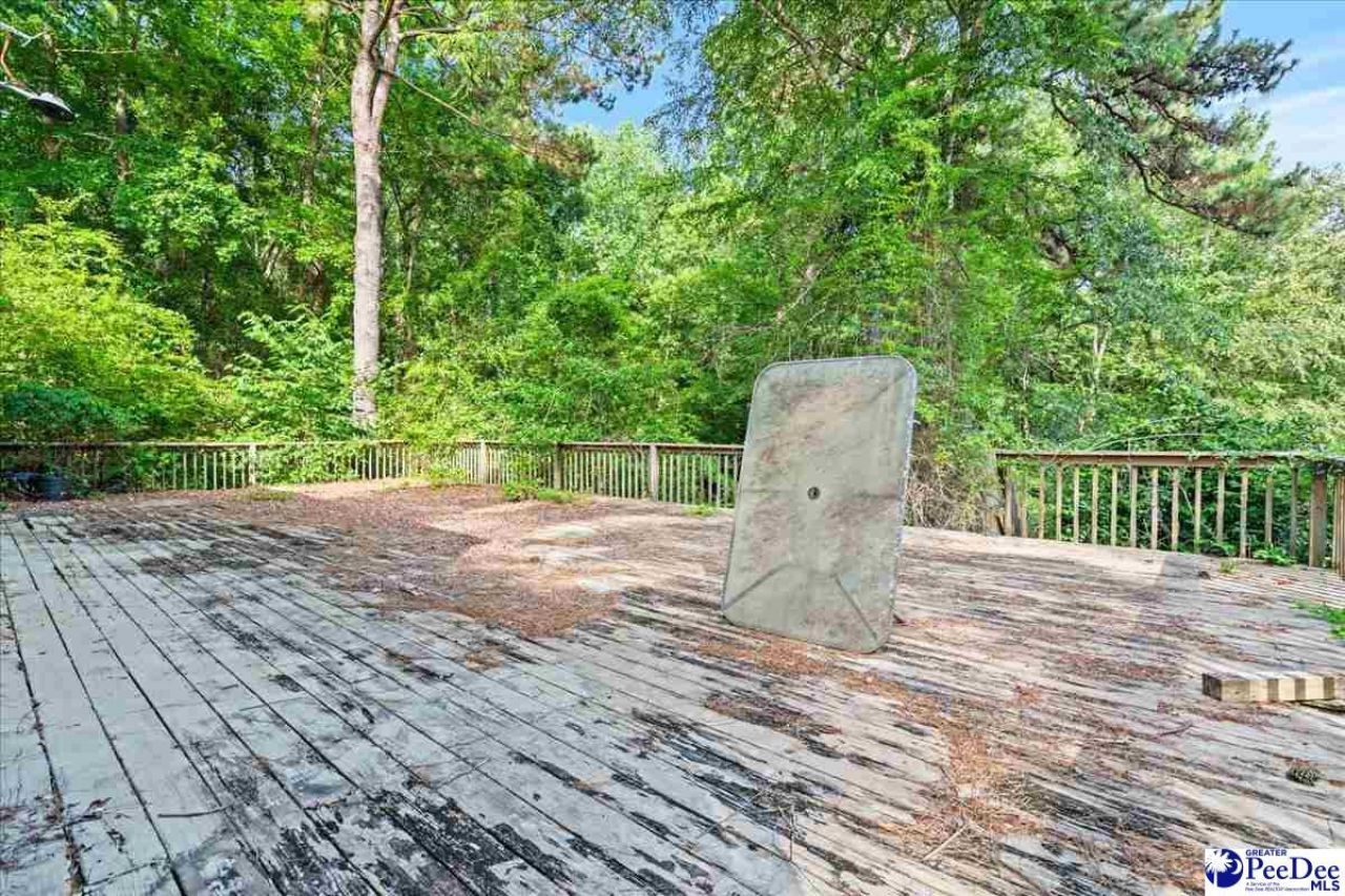 816 Olanta Hwy. Photo 53