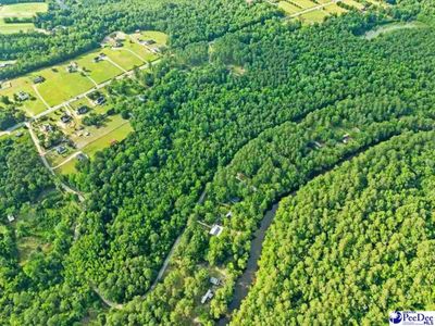 1047 Roundtree Road, Effingham, SC 29541