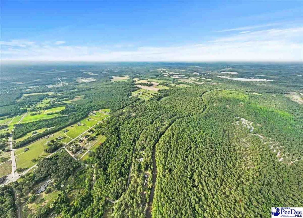 1047 Roundtree Road Photo 4