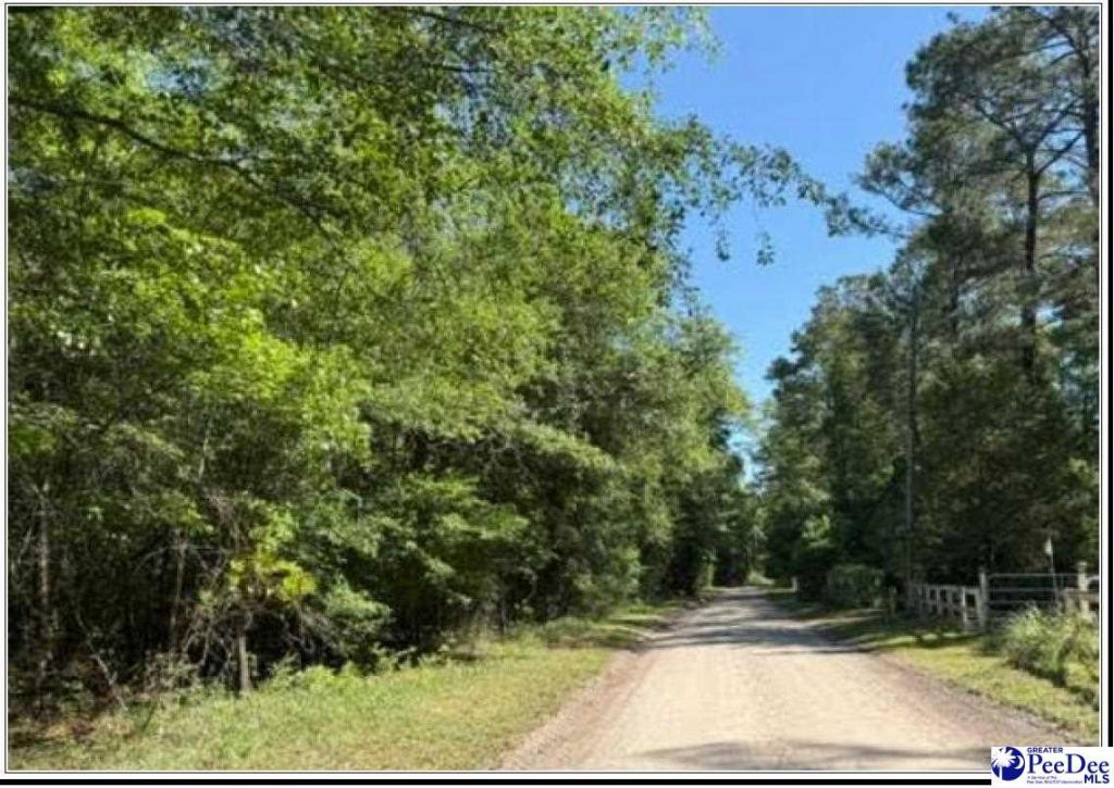 1047 Roundtree Road Photo 5