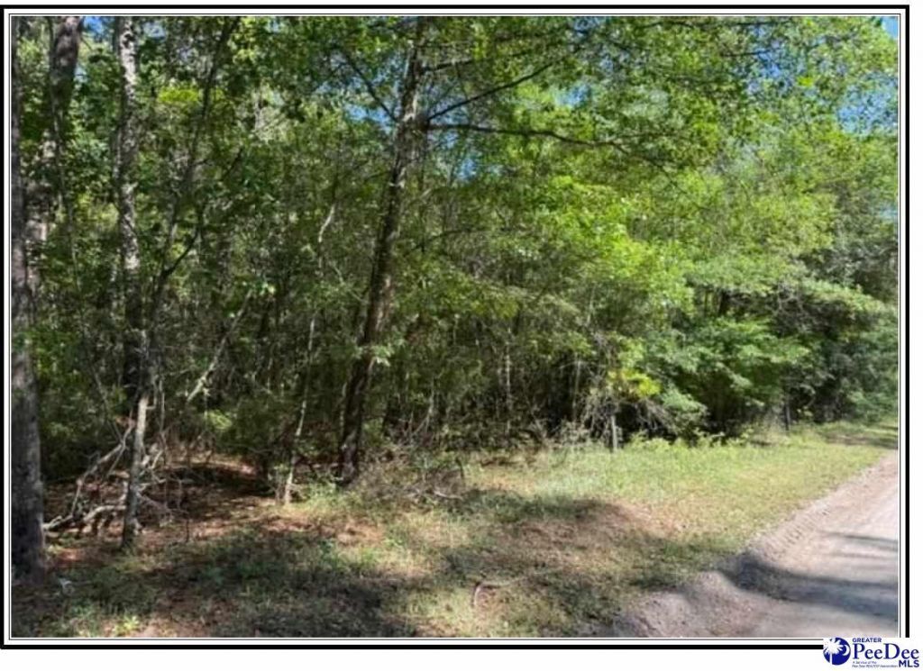 1047 Roundtree Road Photo 6