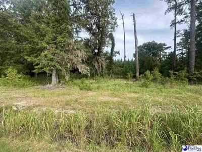 TBD Old #4 Highway, Coward, SC 29530