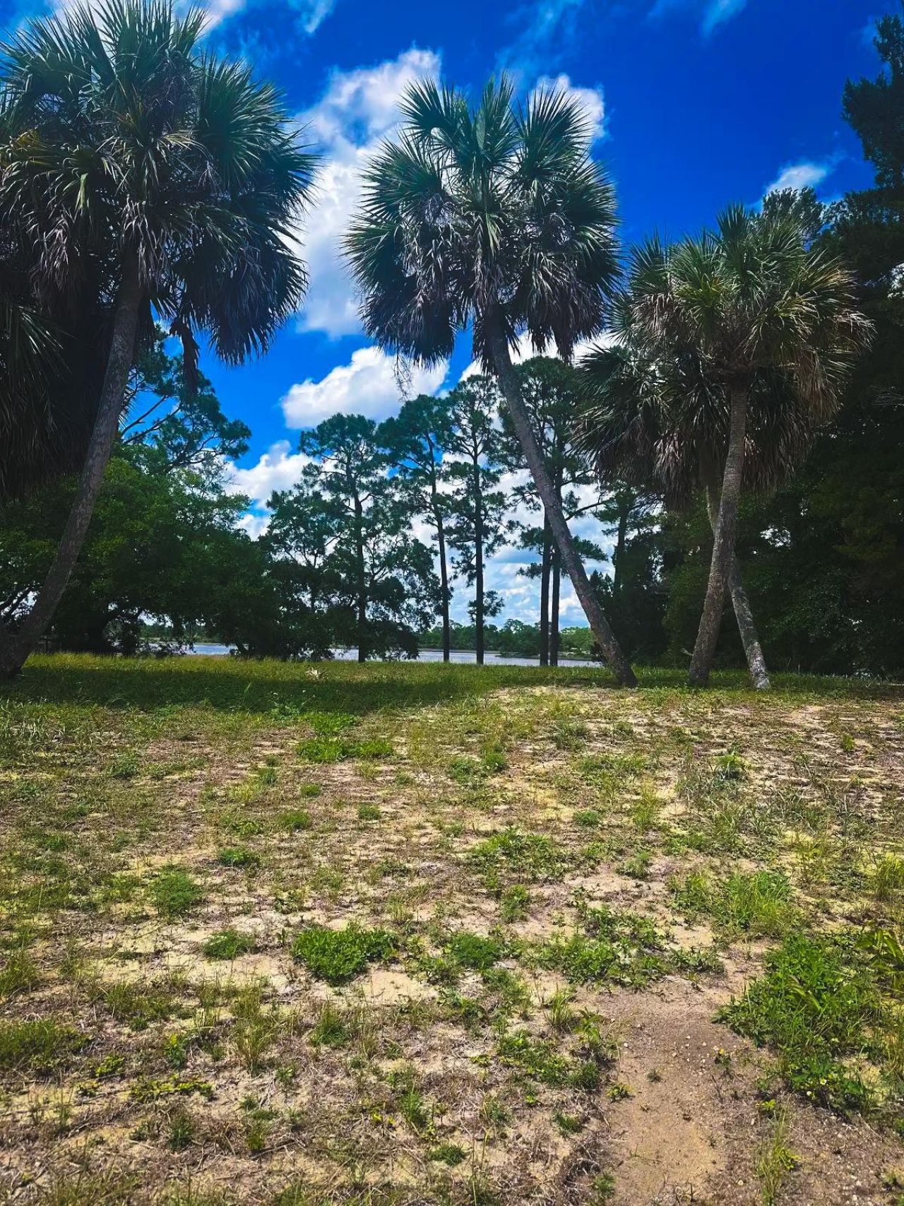 139 River Road , Carrabelle, FL 32322 Main Photo