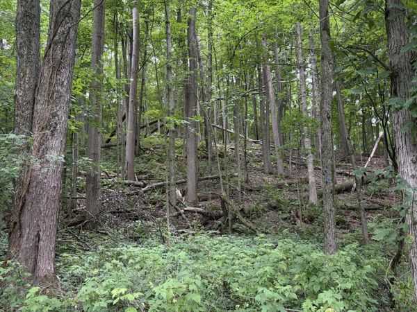 LOT B E Riverside Drive, Lowell, MI 49331