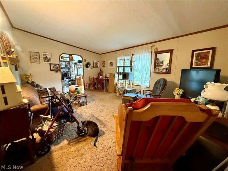 16029 Township Road 289, Coshocton, OH 43811 Photo 13