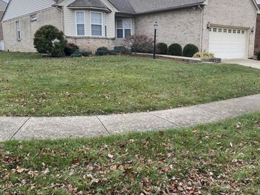 1177 Lacy Lane, Lexington, KY 40513