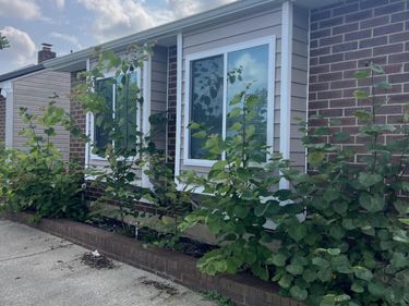 3317 Fox Trace Road, Lexington, KY 40515