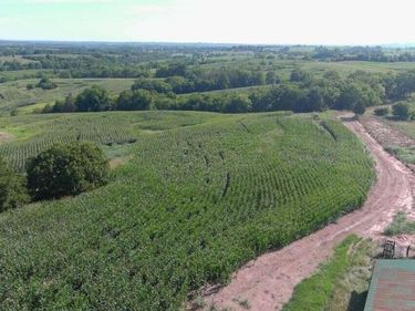 3330-1A Kentucky 1770 , Stanford, KY 40484