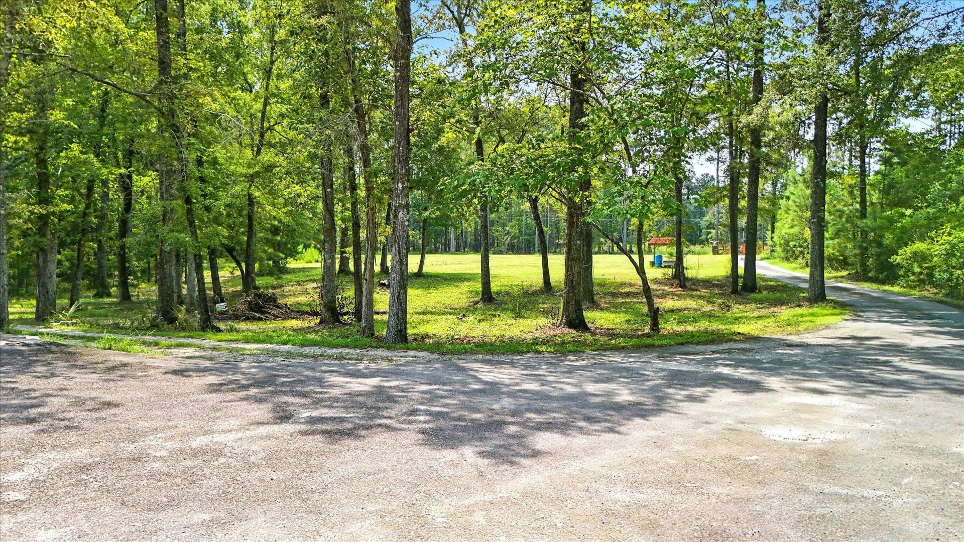 966 Hardwood Lane  Photo 5