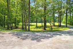 966 Hardwood Lane  photo 4