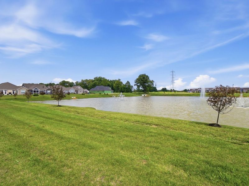 3146 Squier Loop, Powell, OH 43065 Photo 53