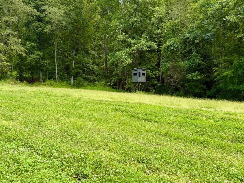 13590 St Rt 73, Franklin Twp, OH 45660 Photo 12