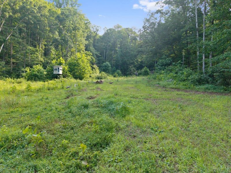 13590 St Rt 73, Franklin Twp, OH 45660 Photo 21
