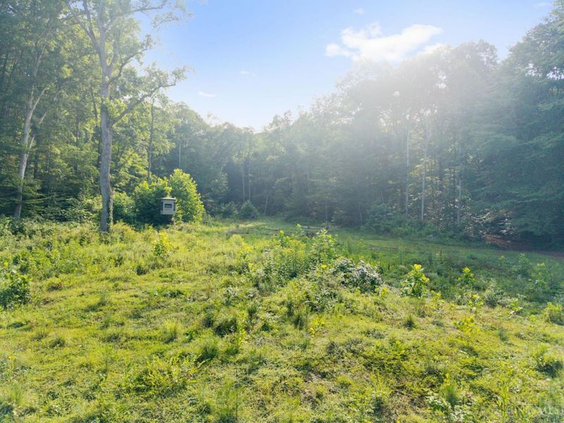 13590 St Rt 73, Franklin Twp, OH 45660 Photo 22