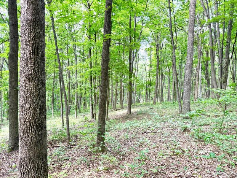 13590 St Rt 73, Franklin Twp, OH 45660 Photo 56