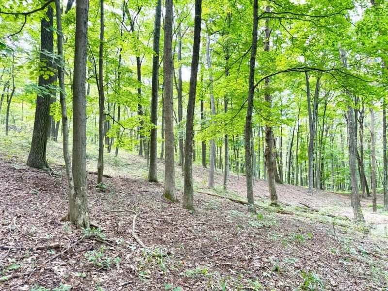 13590 St Rt 73, Franklin Twp, OH 45660 Photo 59