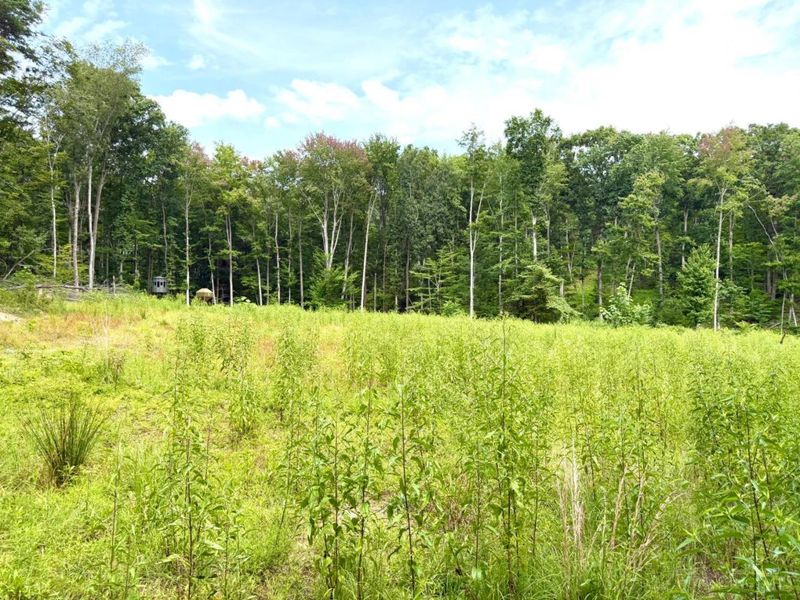 13590 St Rt 73, Franklin Twp, OH 45660 Photo 63