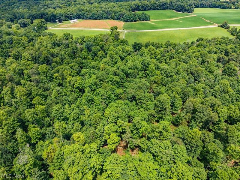 Township Road 2156 , Ashland, OH 44805 Photo 10