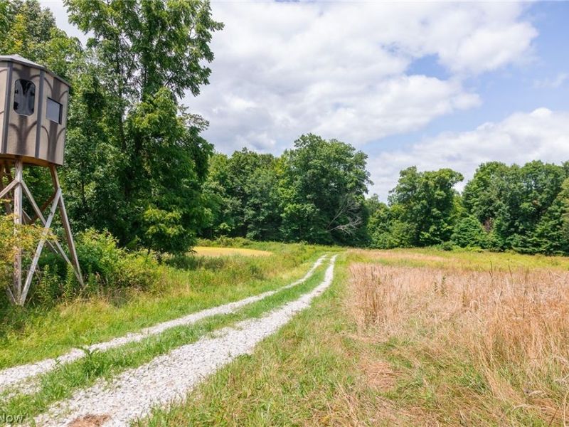Township Road 2156 , Ashland, OH 44805 Photo 13