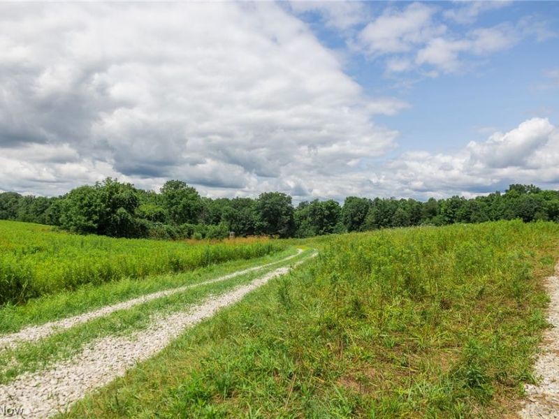 Township Road 2156 , Ashland, OH 44805 Photo 16