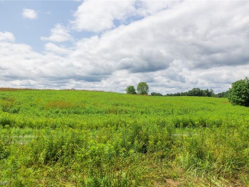Township Road 2156 , Ashland, OH 44805 Photo 18
