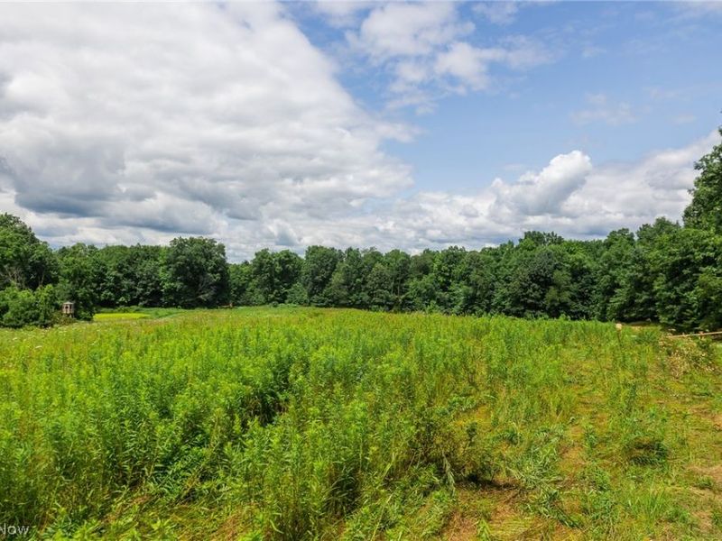 Township Road 2156 , Ashland, OH 44805 Photo 19