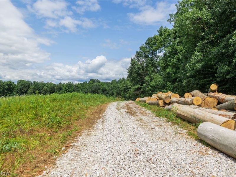 Township Road 2156 , Ashland, OH 44805 Photo 21