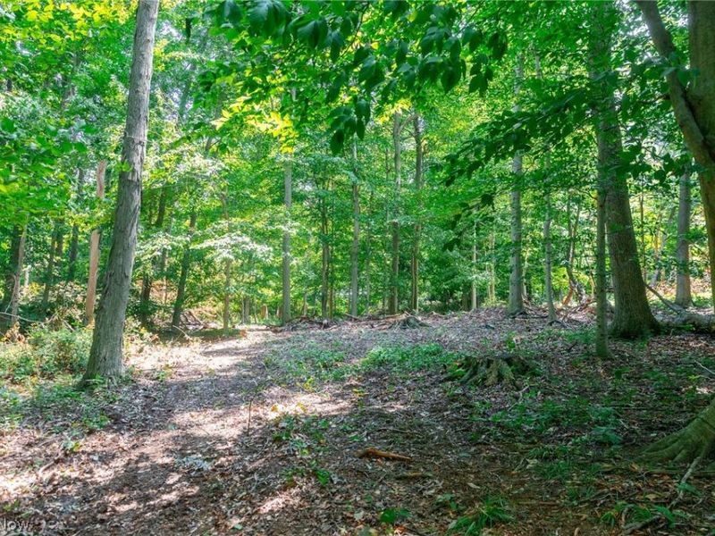 Township Road 2156 , Ashland, OH 44805 Photo 22