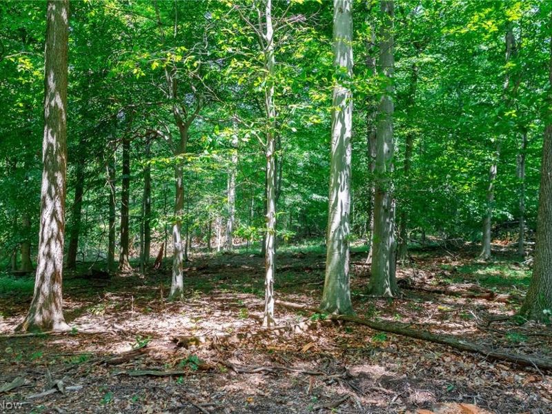 Township Road 2156 , Ashland, OH 44805 Photo 23