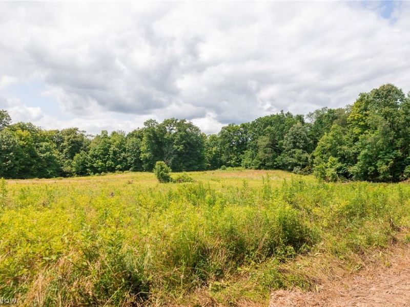 Township Road 2156 , Ashland, OH 44805 Photo 24