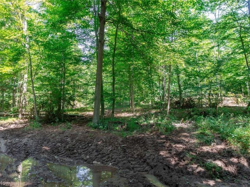 Township Road 2156 , Ashland, OH 44805 Photo 26