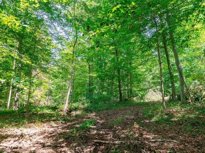 Township Road 2156 , Ashland, OH 44805 Photo 27