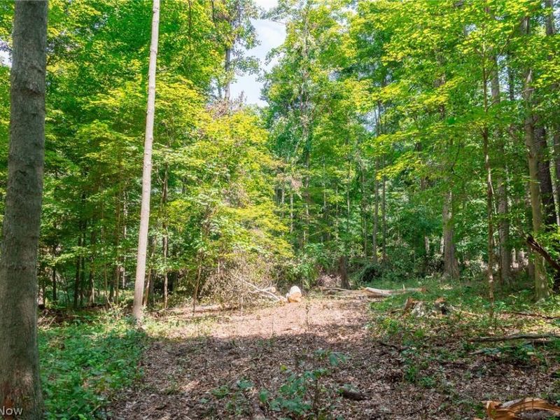Township Road 2156 , Ashland, OH 44805 Photo 29