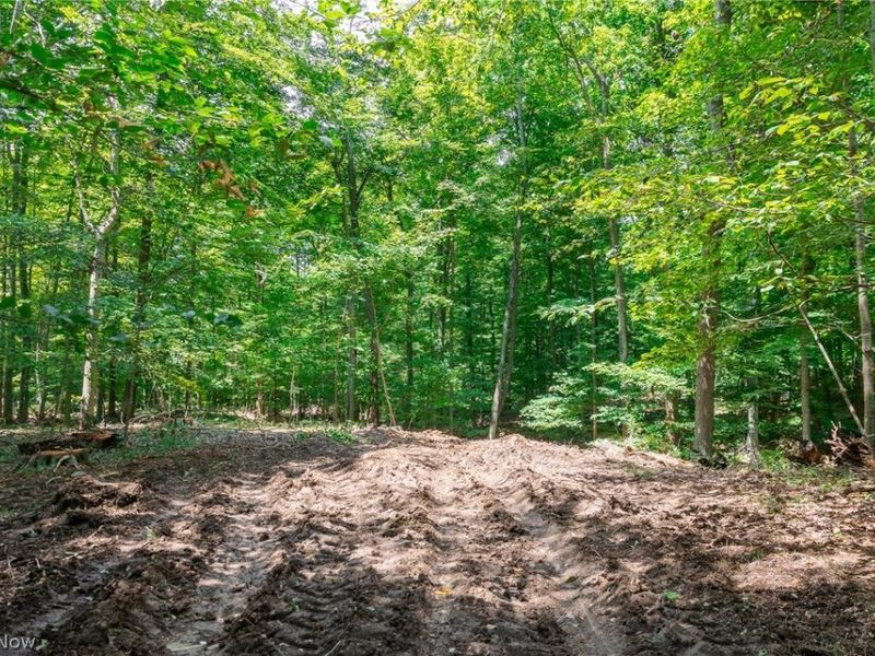 Township Road 2156 , Ashland, OH 44805 Photo 30
