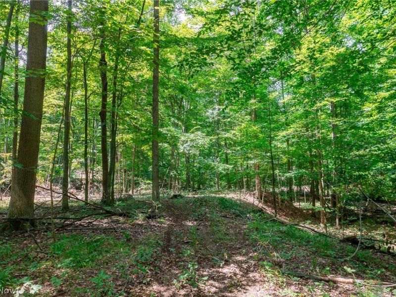 Township Road 2156 , Ashland, OH 44805 Photo 32