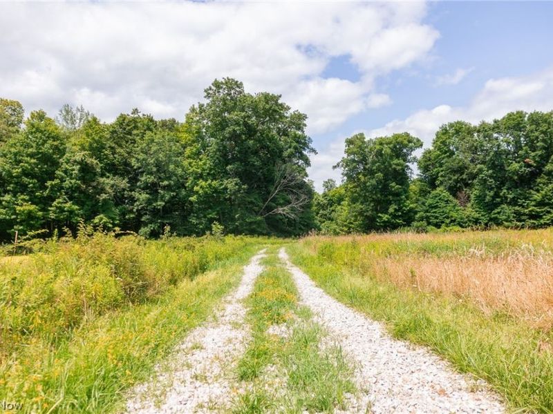 Township Road 2156 , Ashland, OH 44805 Photo 35