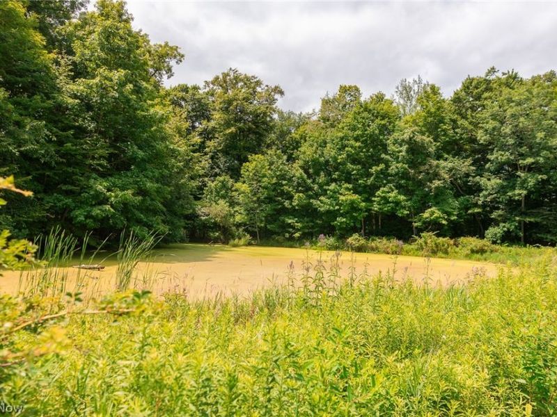Township Road 2156 , Ashland, OH 44805 Photo 36