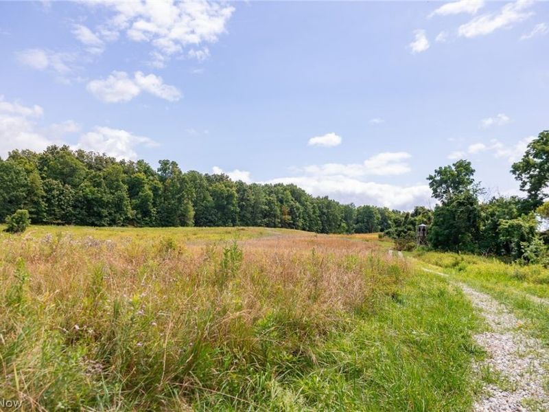Township Road 2156 , Ashland, OH 44805 Photo 37