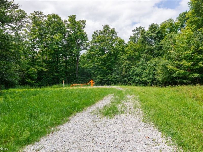 Township Road 2156 , Ashland, OH 44805 Photo 38