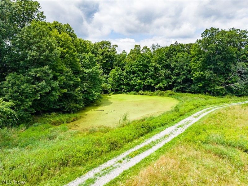 Township Road 2156 , Ashland, OH 44805 Photo 46