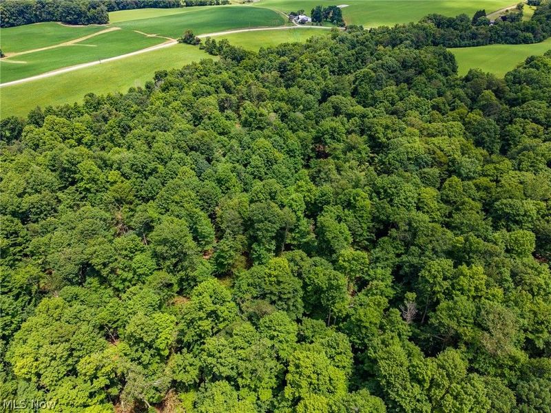 Township Road 2156 , Ashland, OH 44805 Photo 9