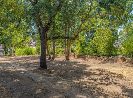 741 N Main St, Jackson, CA 95642 Photo
