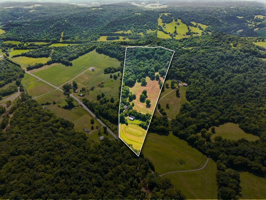 Property Image 8