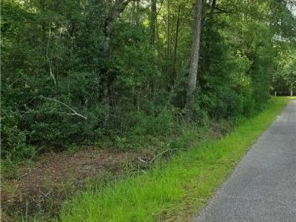 30473 COUNTRY Lane , Bush, LA 70431